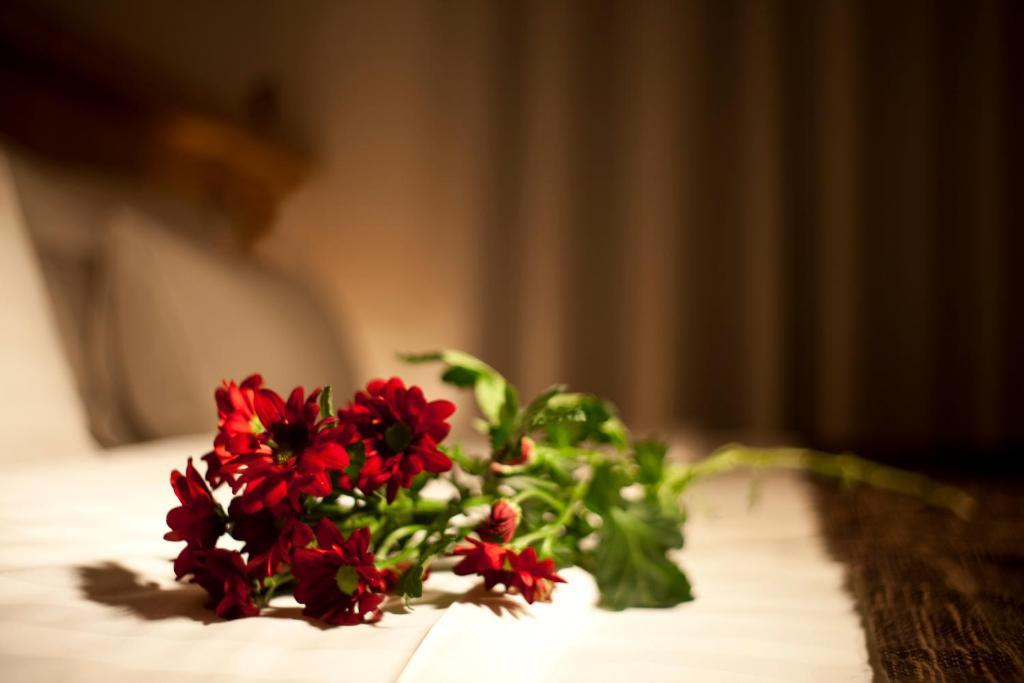 Dahlia Inn Prag Zimmer foto